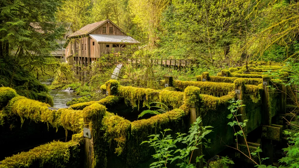 Wooden House Moss Forest Stream Rustic Serene