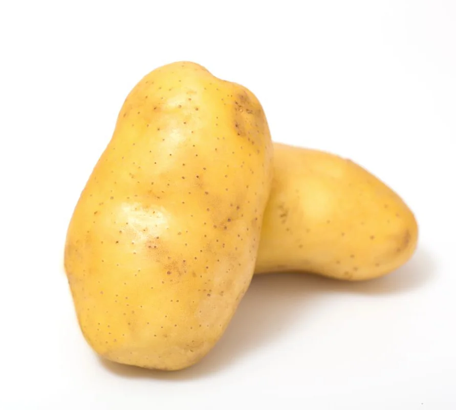 Yellow Potato Rough Skin