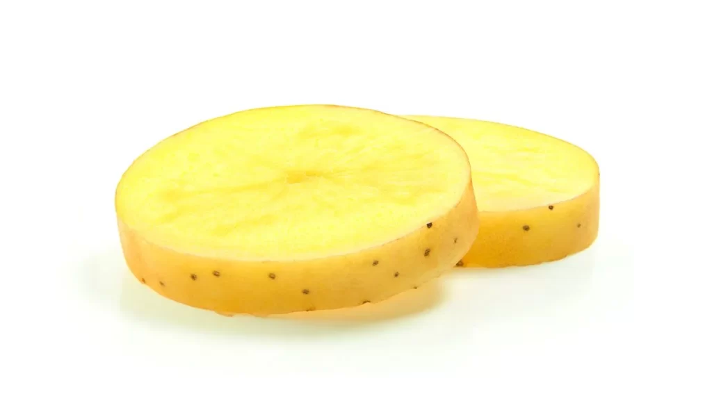 Yellow Potato Round Slice