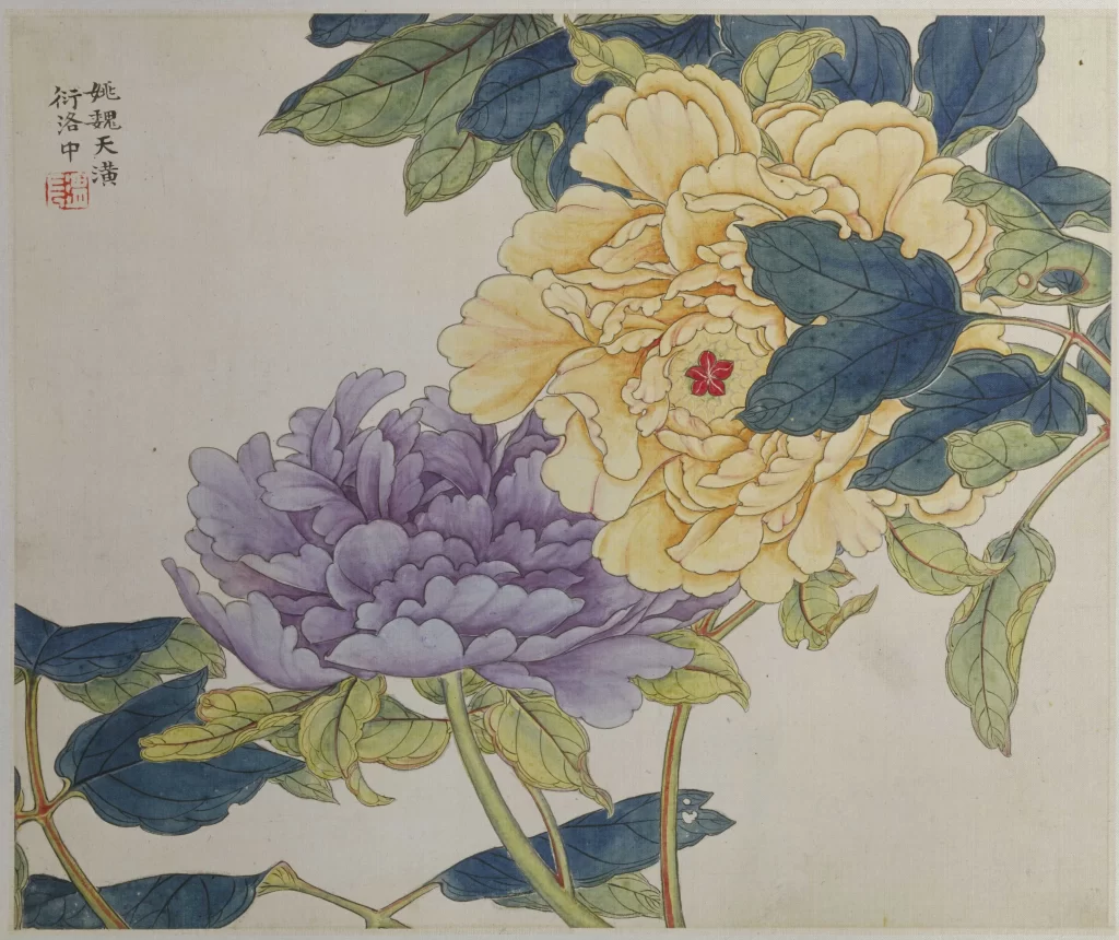 Yellow Purple Peony Blossoms Ren Xiong