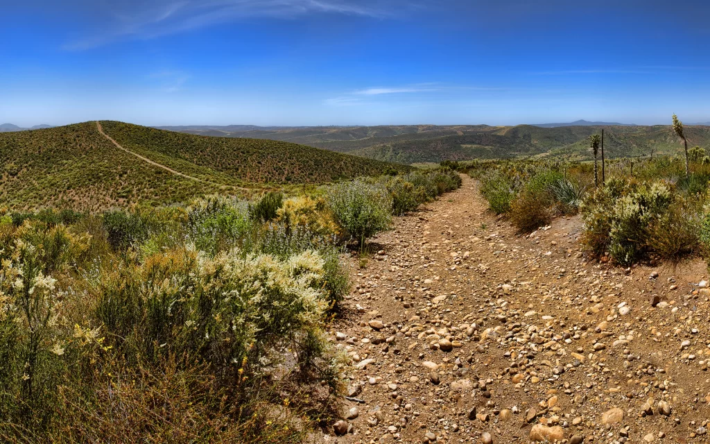 Hiking Trail Rocky Path Scenic Landscape Bushes Rolling Hills Blue Sky
