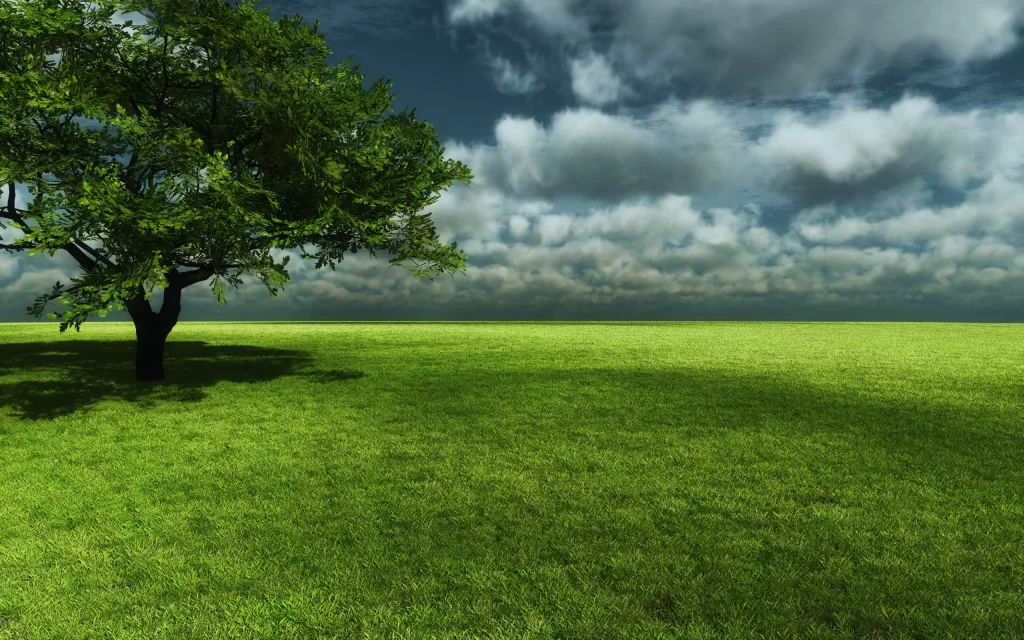 Lone Tree Green Grass Cloudy Sky Nature Tranquility