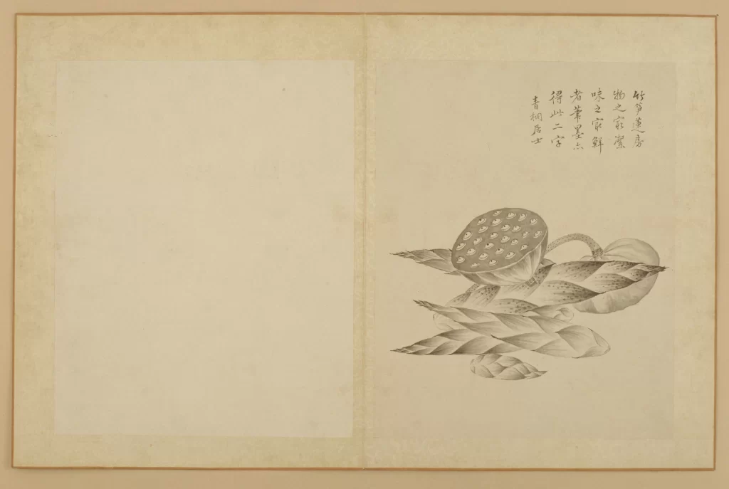 Lotus Leaves Seeds Brushwork Elegance Ink Jiang Tingxi