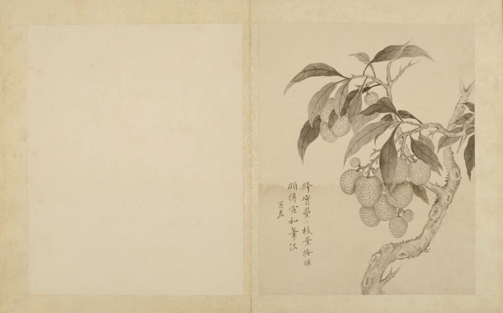 Lychee Branch Leaves Fruit Calligraphy Ink Wash Jiang Tingxi