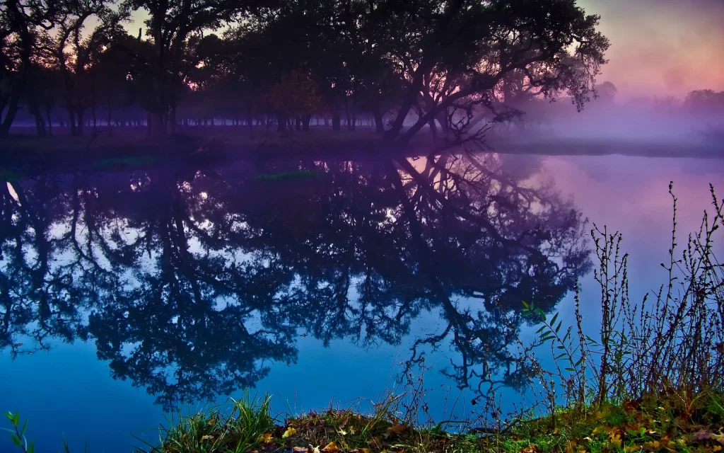 Misty Lake Trees Reflection Dawn Fog