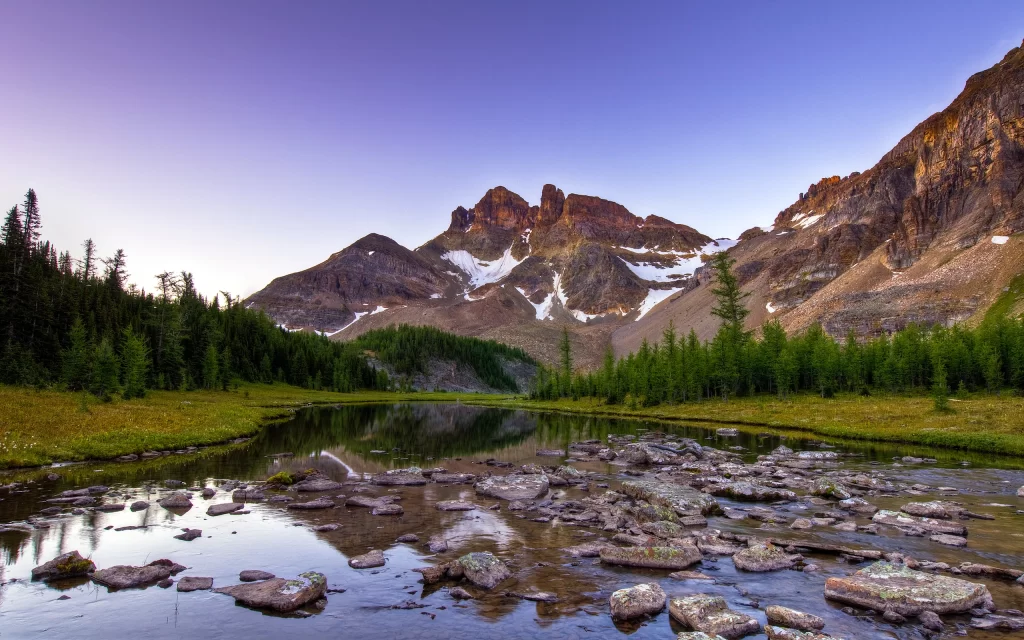 Mountain Peaks Snow Forest River Rocks