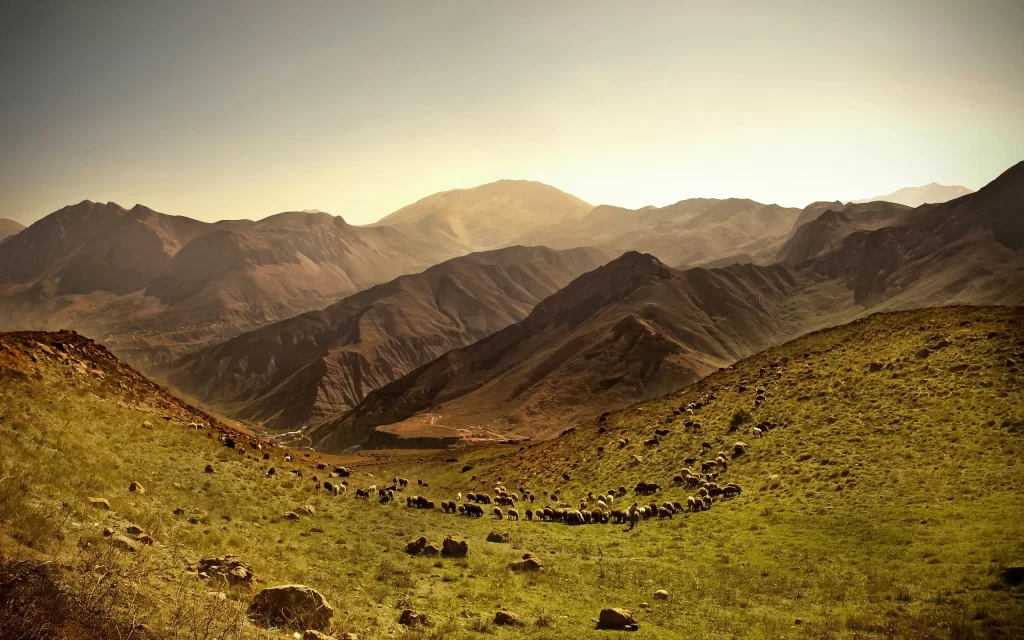 Mountain Range Grazing Sheep Sunlit Valley Rocky Terrain Pastoral Scenery Rolling Hills