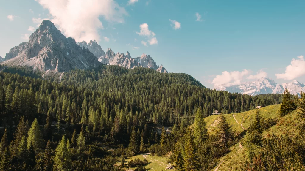 Mountainous Peaks Forest Greenery Clear Sky Pathway Scenic