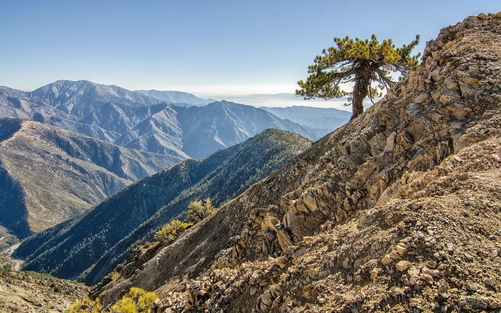 Mountainous Terrain Rocky Slope Pine Tree Scenic View Clear Sky