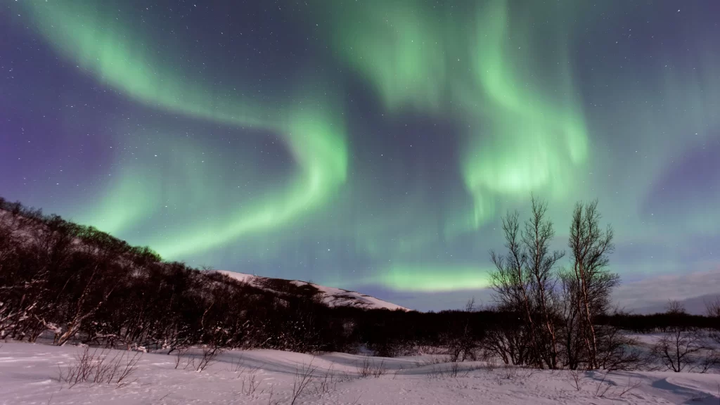 Northern Lights Snowy Landscape Stars Twinkling Aurora