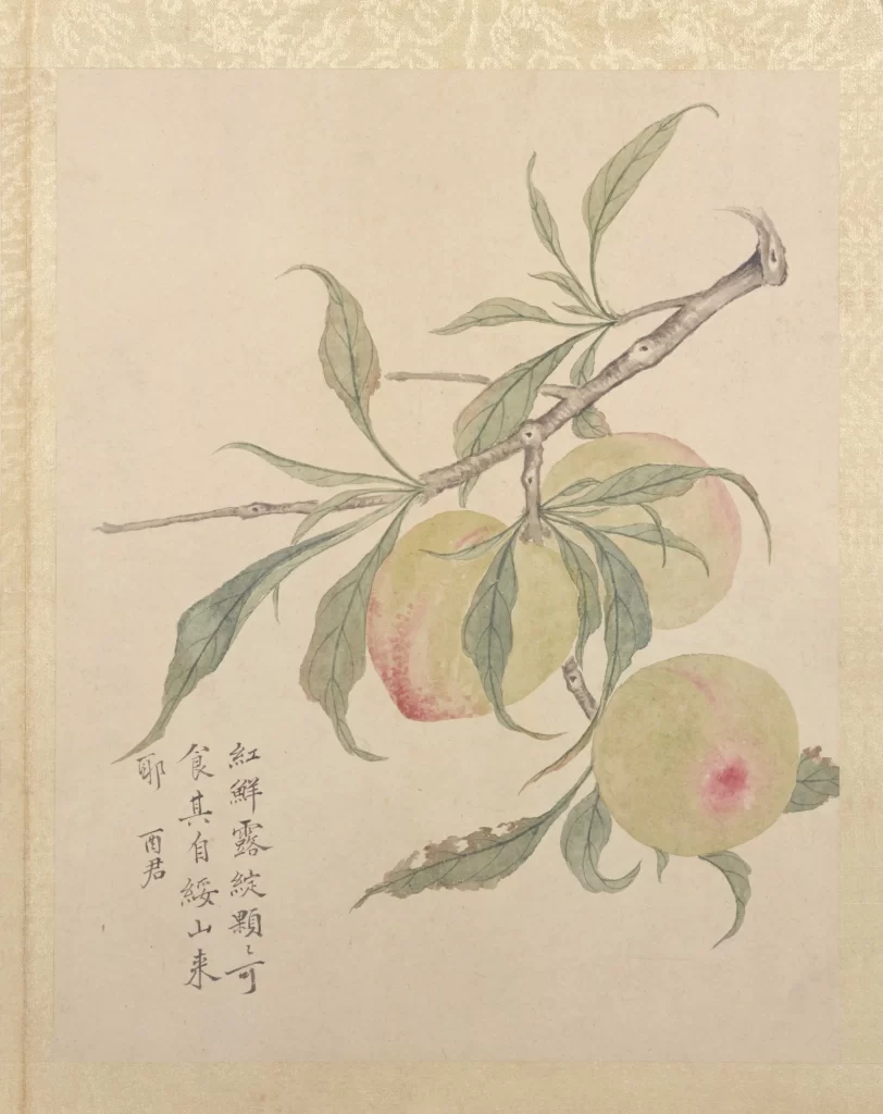 Peaches Branches Leaves Ink Brushwork Traditional Jiang Ting