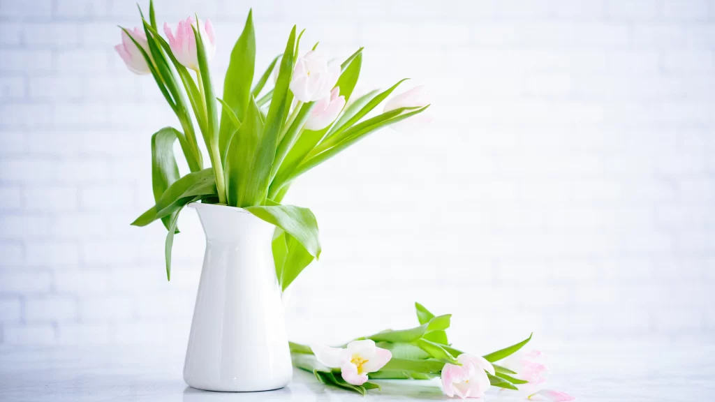 Pink Tulips White Vase Green Leaves Soft Light