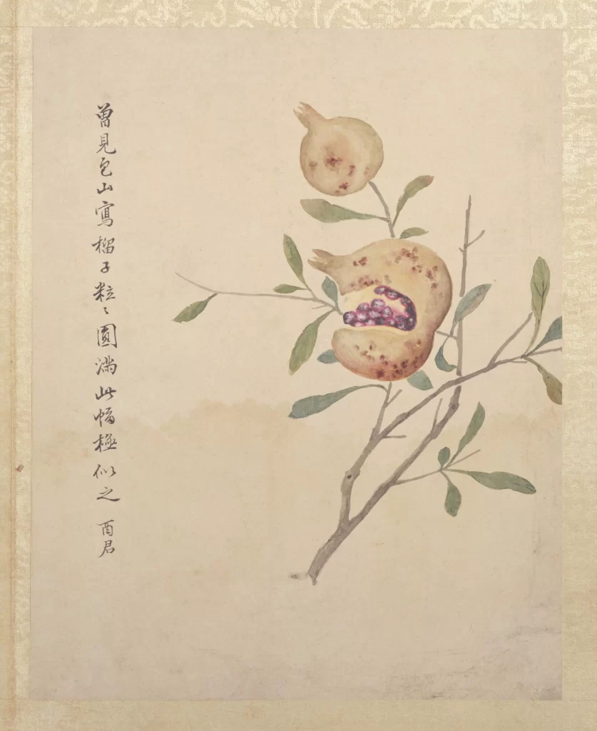 Pomegranate Ink Brush Nature Elegance Traditional Jiang Ting