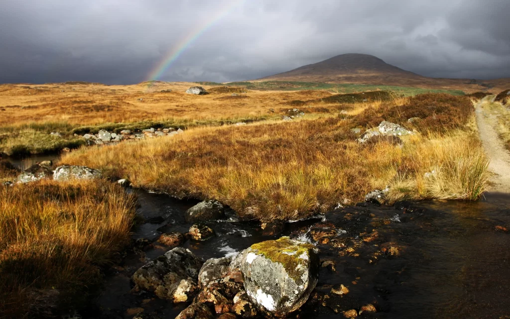 Rainbow Landscape Mountain Stream Rocks Grass