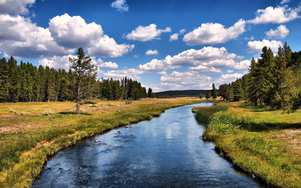 River Forest Meadow Sky Clouds Nature