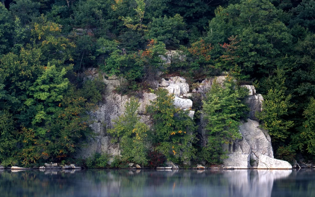Rocky Cliff Forest Greenery Autumn Reflection Water