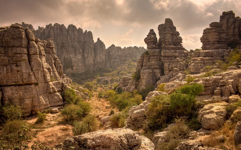 Rocky Terrain Desert Vegetation Cloudy Sky Natural Formation Arid Landscape