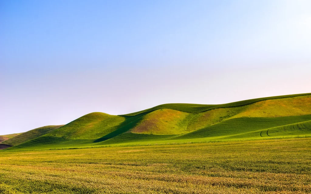 Rolling Hills Green Grass Blue Sky Sunlight