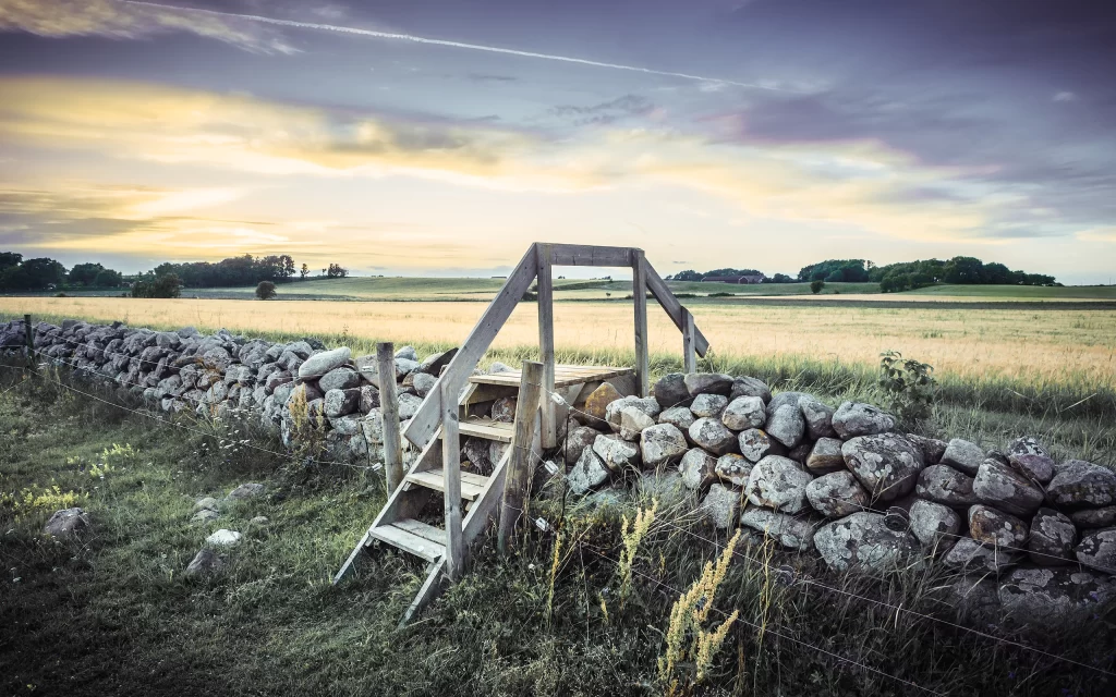 Rural Pathway Wooden Stairs Stone Wall Field Sunset