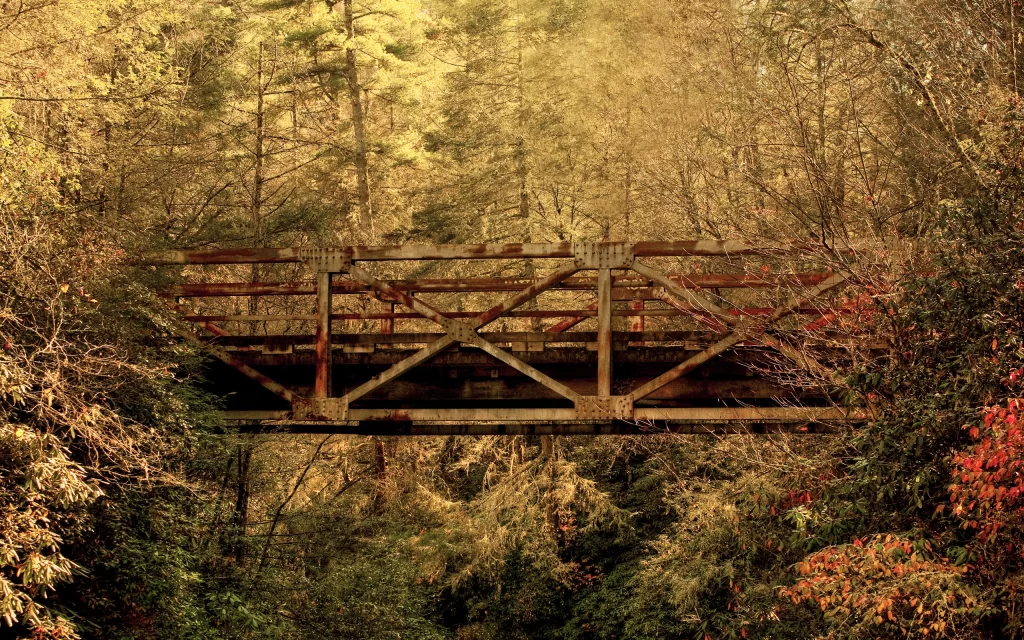 Rustic Bridge Dense Forest Autumn Leaves Sunlight
