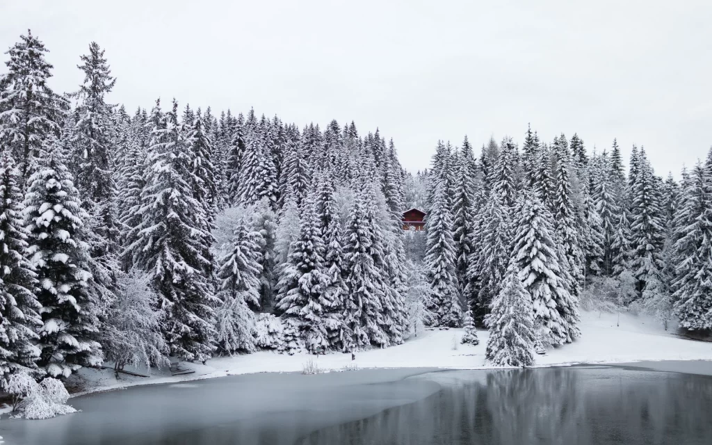 Snowy Forest Cabin Frozen Lake Winter