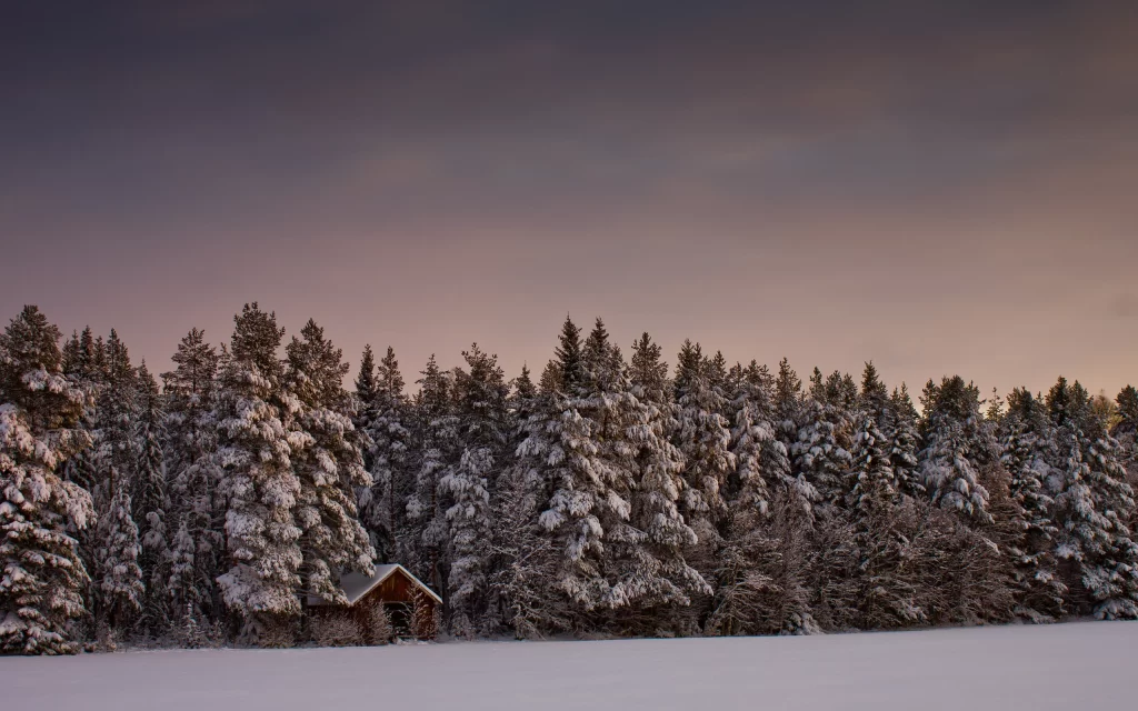 Snowy Forest Cabin Winter Twilight