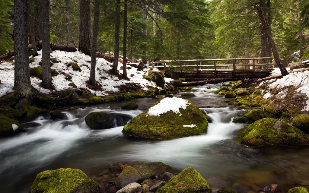 Snowy Forest Stream Mossy Rocks Wooden Bridge