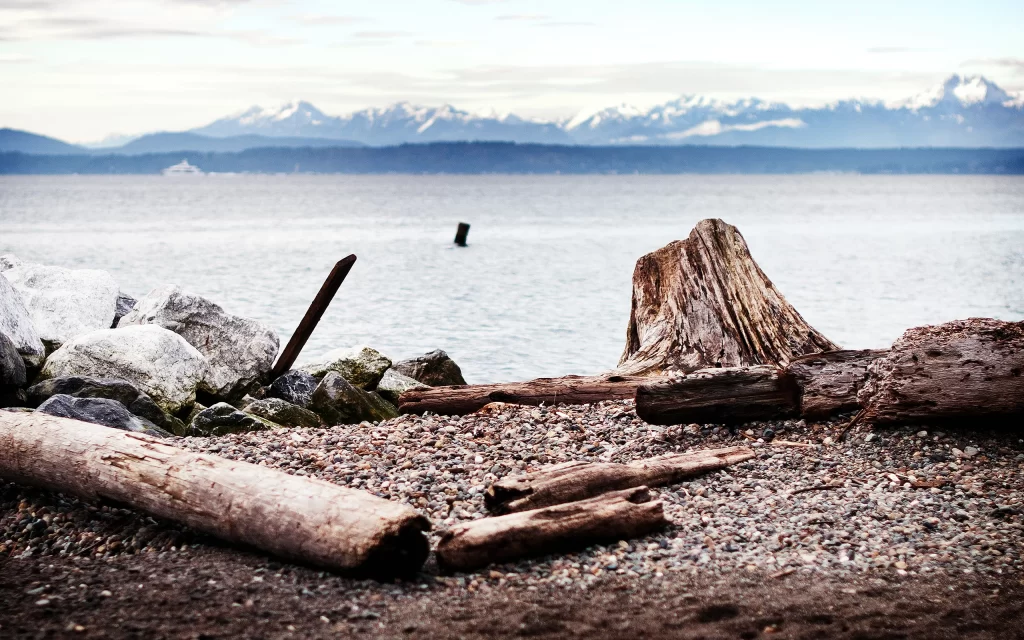 Snowy Mountains Lake Rocks Driftwood Logs