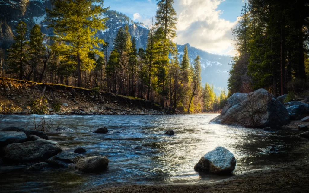 Sunlight Forest River Rocks Mountains Snow