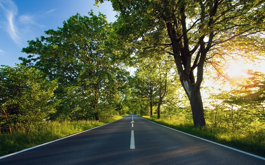 Sunlit Road Green Trees Blue Sky Nature