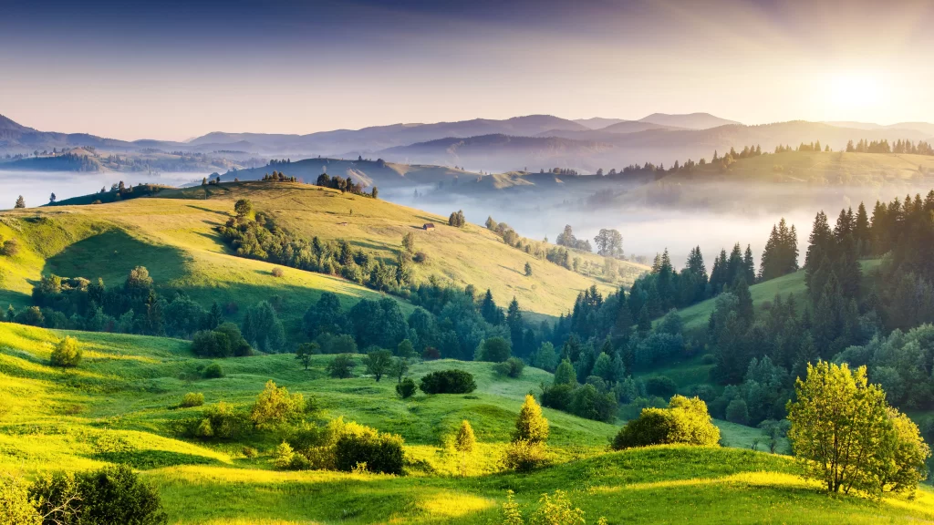 Sunrise Mountain Range Mist Forest Green Hills