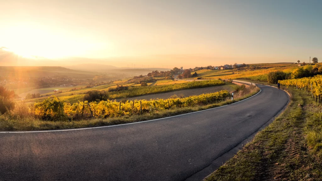 Sunset Countryside Road Vineyard Fields Scenic