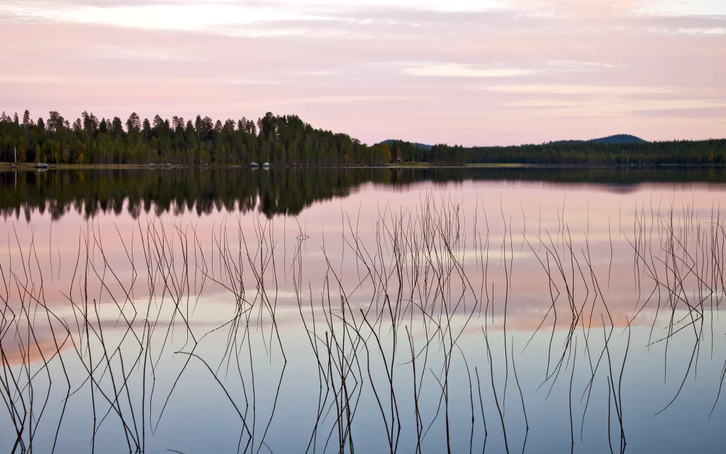 Sunset Lake Reflections Trees Calm