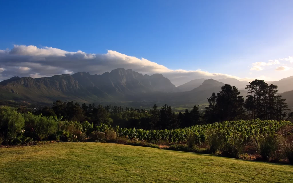 Sunset Mountains Clouds Forest Greenery Vineyard