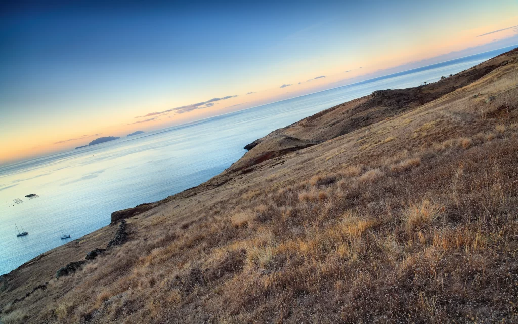 Ocean Horizon Grassland Island