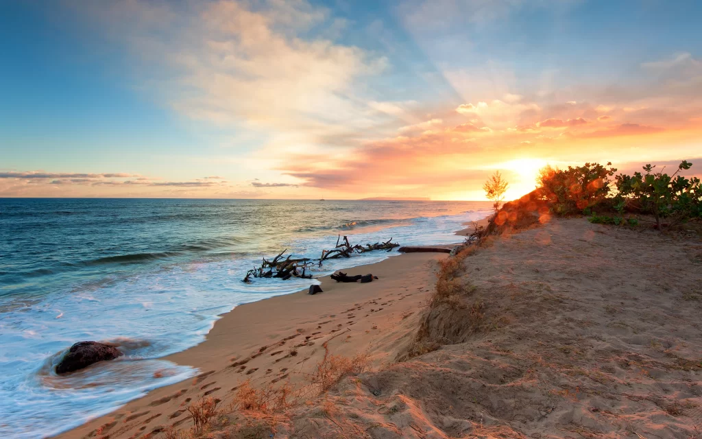 Sunset Ocean Waves Beach Golden Driftwood Rocks Sandy Shoreline