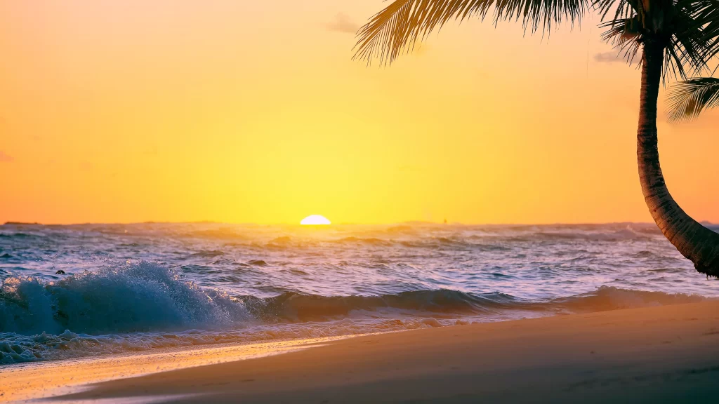 Sunset Ocean Waves Beach Golden Palm Tree