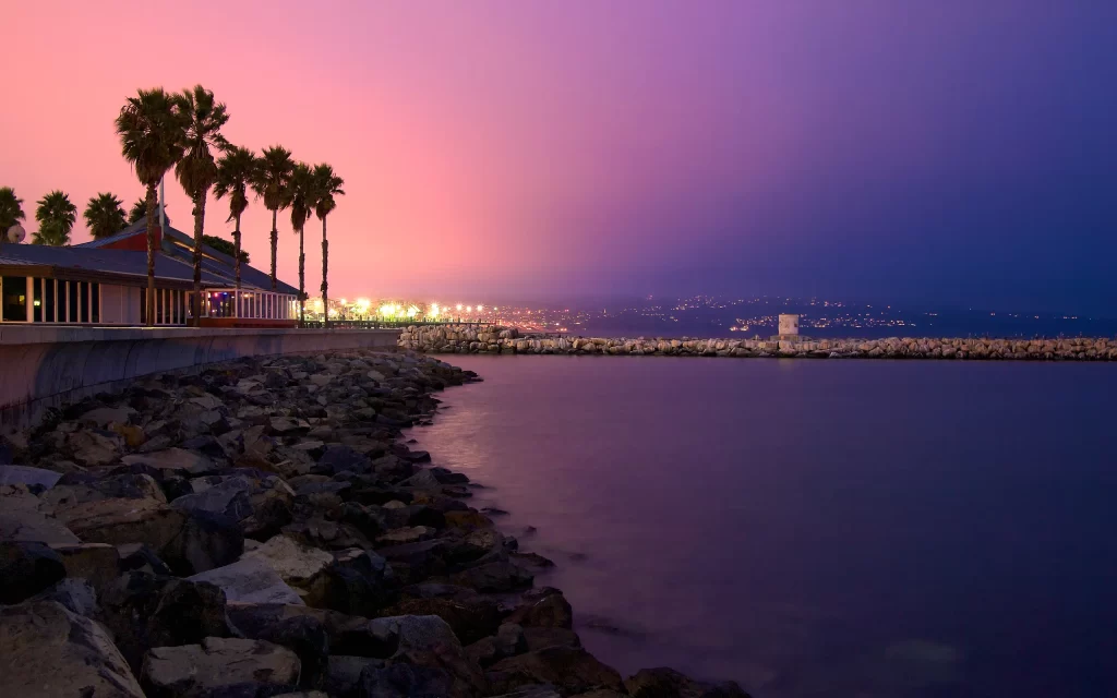 Sunset Palm Trees Rocks Water Cityscape
