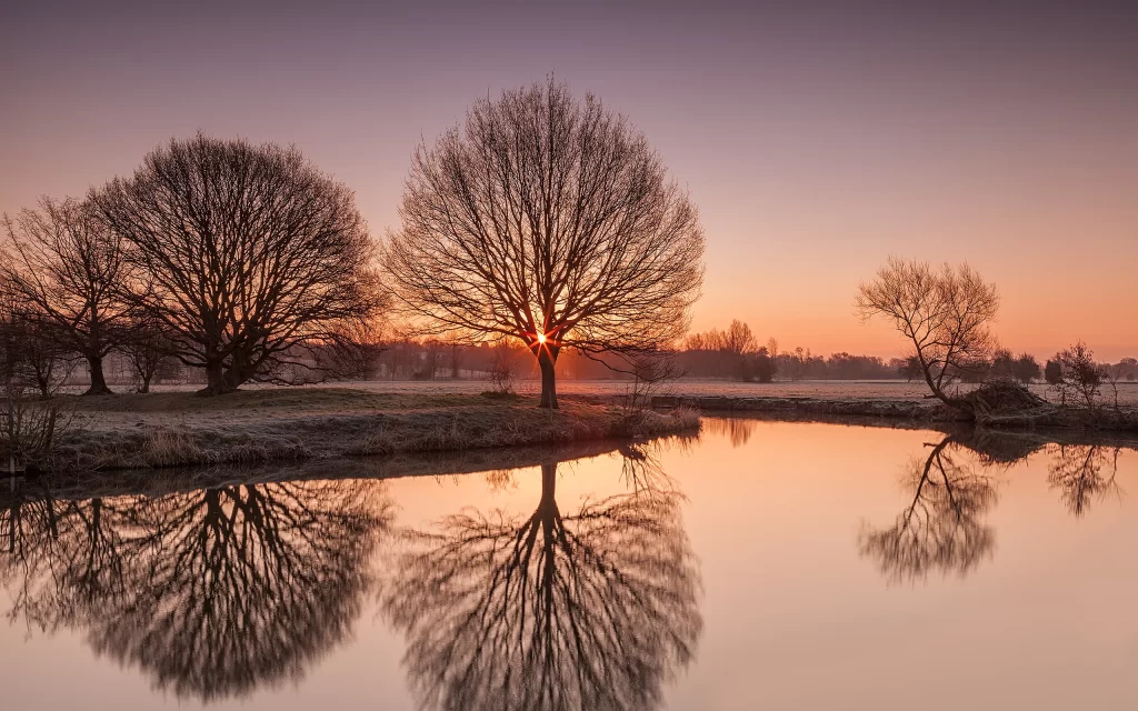 Sunset Trees Reflection Water Tranquil