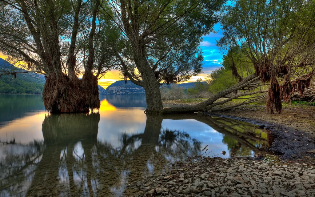 Sunset Trees Water Reflection Rocks Nature