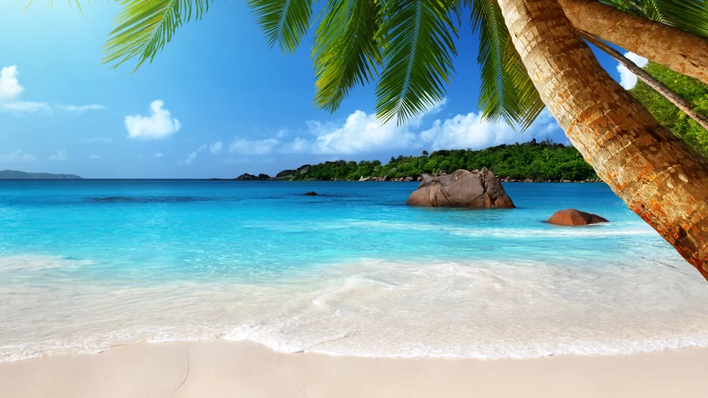 Tropical Beach Clear Blue Water Palm Trees White Sand Rocky Shoreline