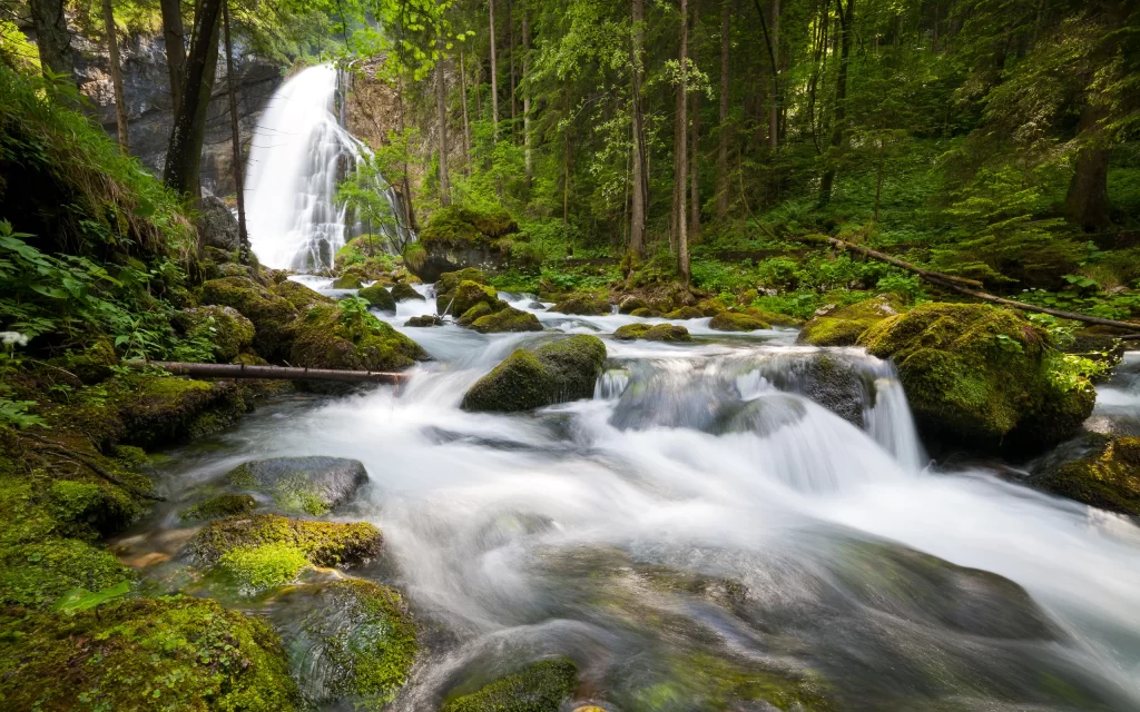 Waterfall Forest Stream Rocks Moss Nature