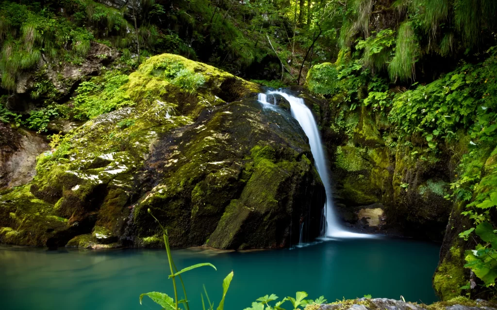Waterfall Mossy Rocks Emerald Pool Lush Greenery Nature