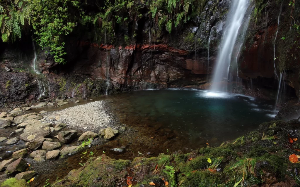 Waterfall Rocks Moss Greenery Nature Serenity