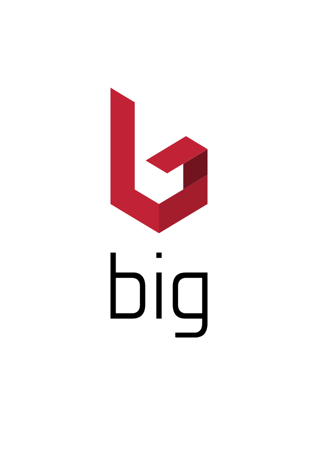 BIG Image Brochure Logo
