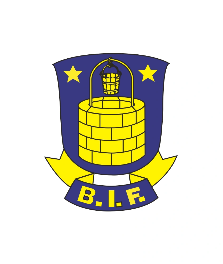 BIR Logo