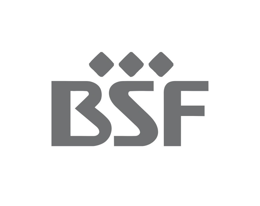 BSF Logo