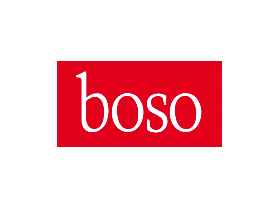 Bosch and Sohn Logo