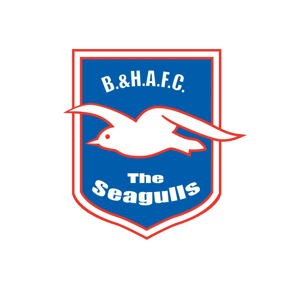 Brighton and Hove Albion Logo