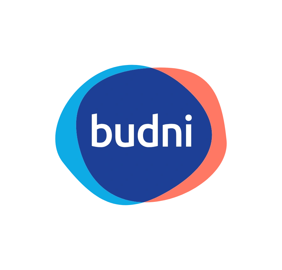 Budni Pilot Logo